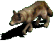 Članski avatar
